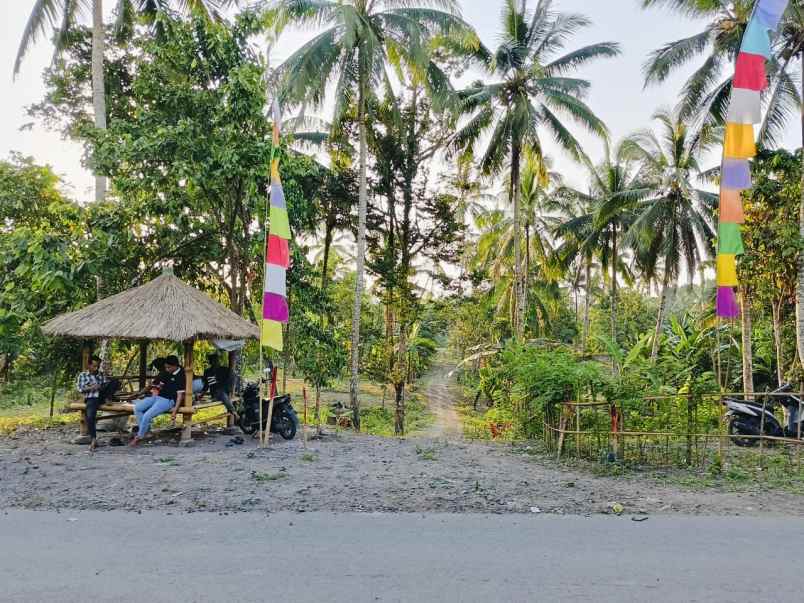 tanah kavling murah pinggir jalan hotmik aspal