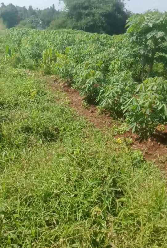 tanah kavling siap bangun