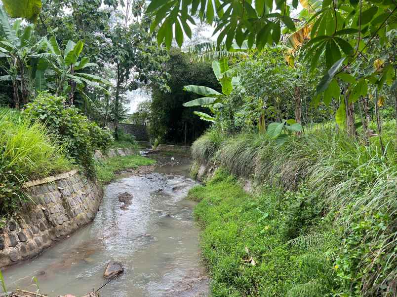 tanah kebun alpukat siap panen 800m kerjo karanganyar
