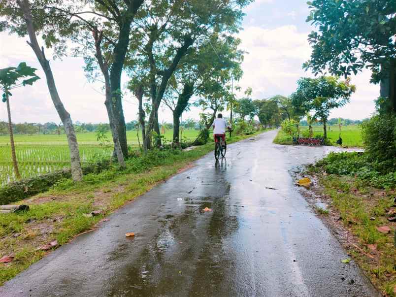 tanah kedawung sragen