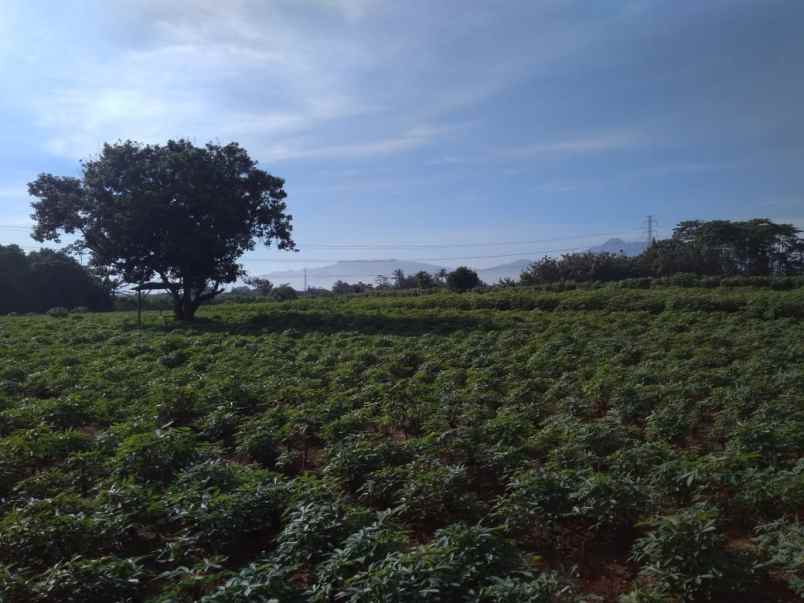 tanah kp sawah kecana
