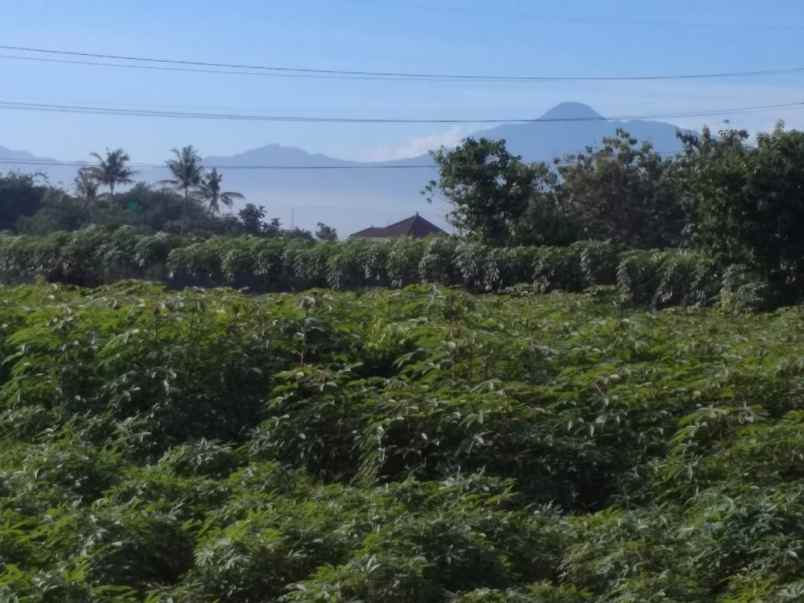 tanah kp sawah kecana