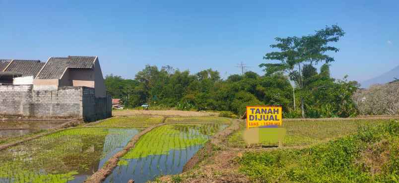 tanah luas sangat murah strategis di singosari malang