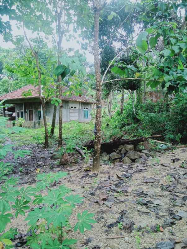 tanah luas super murah