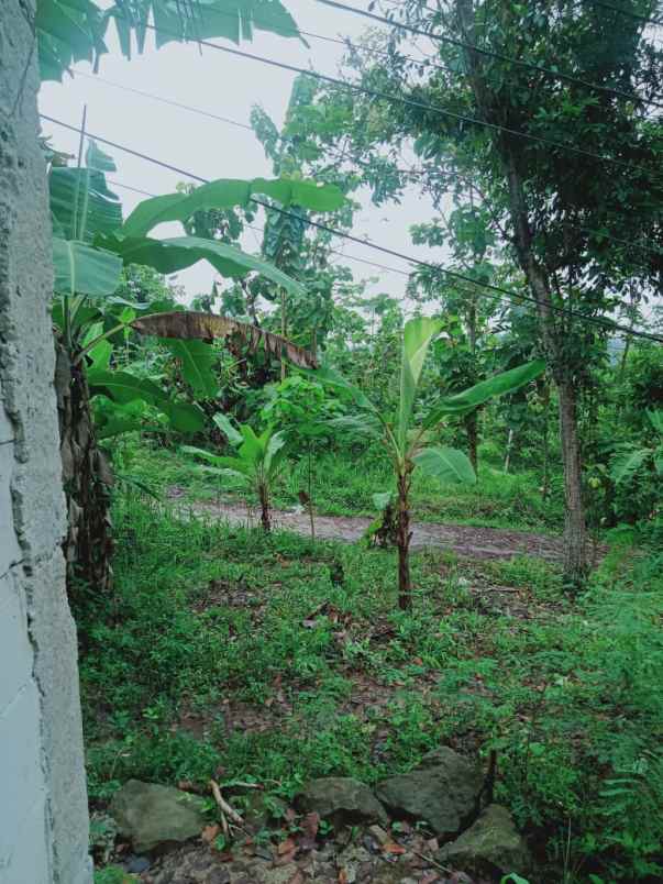 tanah luas super murah