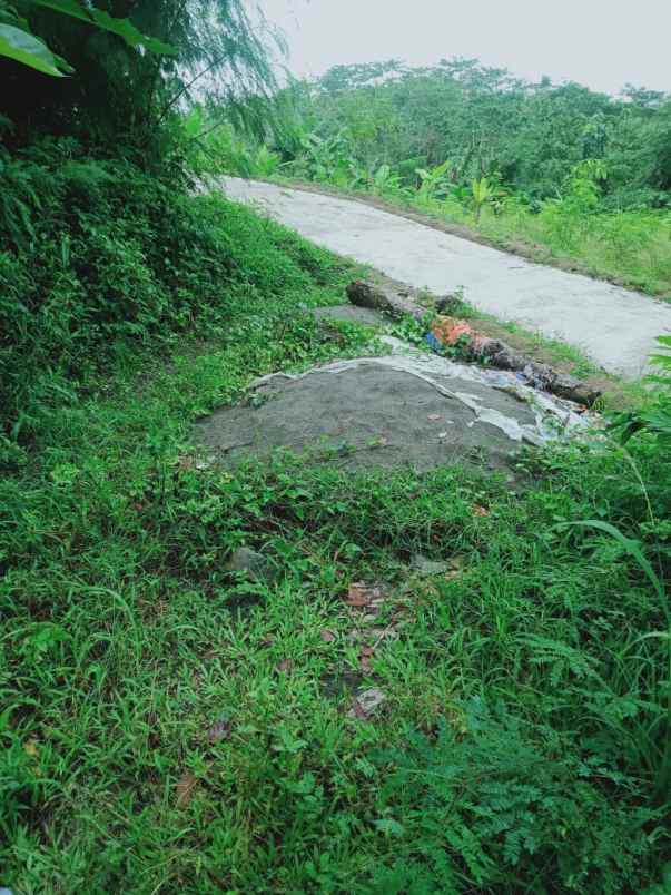 tanah luas super murah