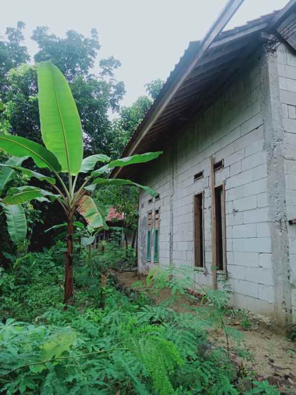 tanah luas super murah