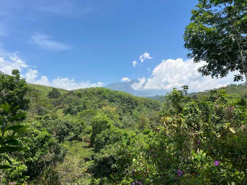 tanah murah 82rb m karanganyar