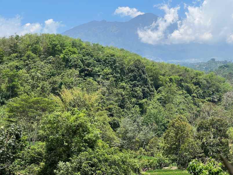 tanah murah 82rb m karanganyar