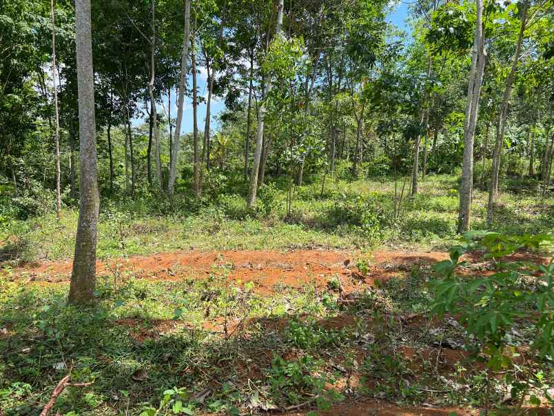 tanah murah 82rb m karanganyar