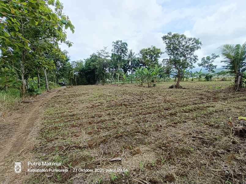 tanah murah dekat bandara yia