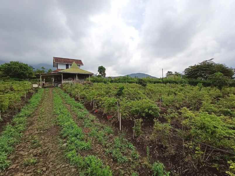 tanah murah kota wisata batu malang