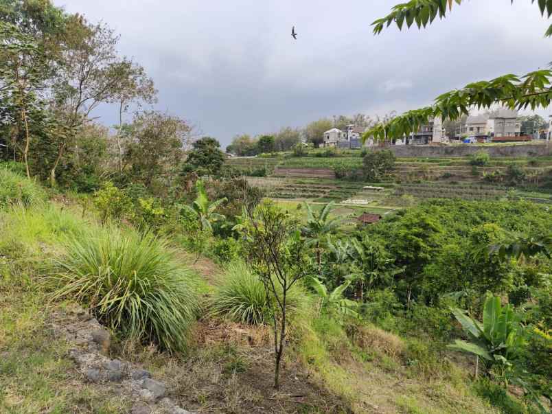 tanah murah untuk perkebunan di temas batu