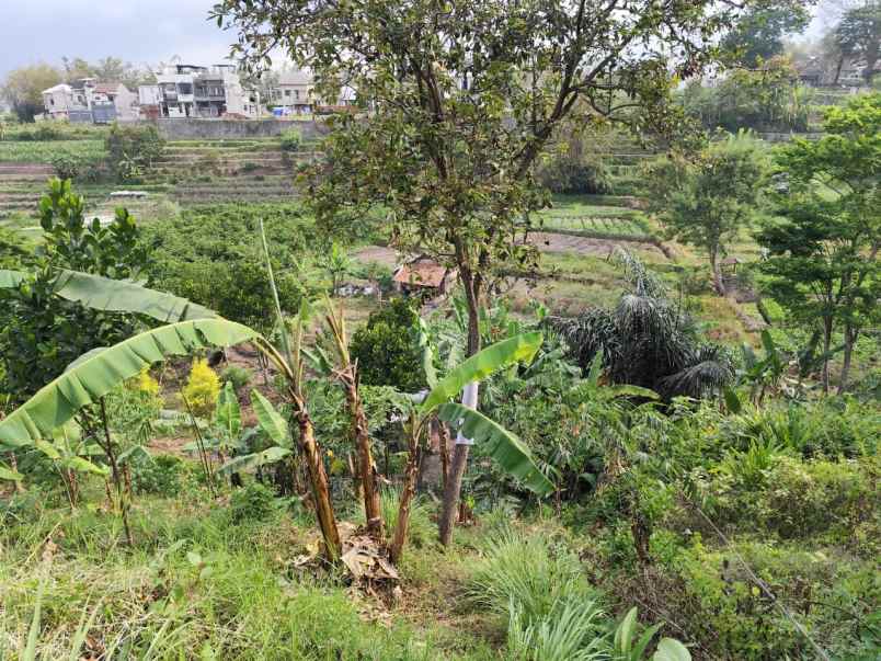 tanah murah untuk perkebunan di temas batu