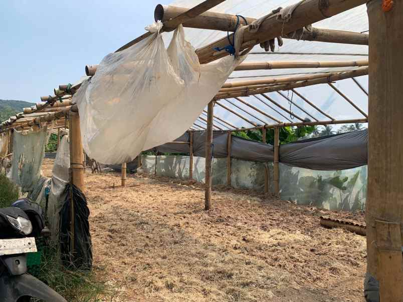 tanah pabelan kabupaten semarang