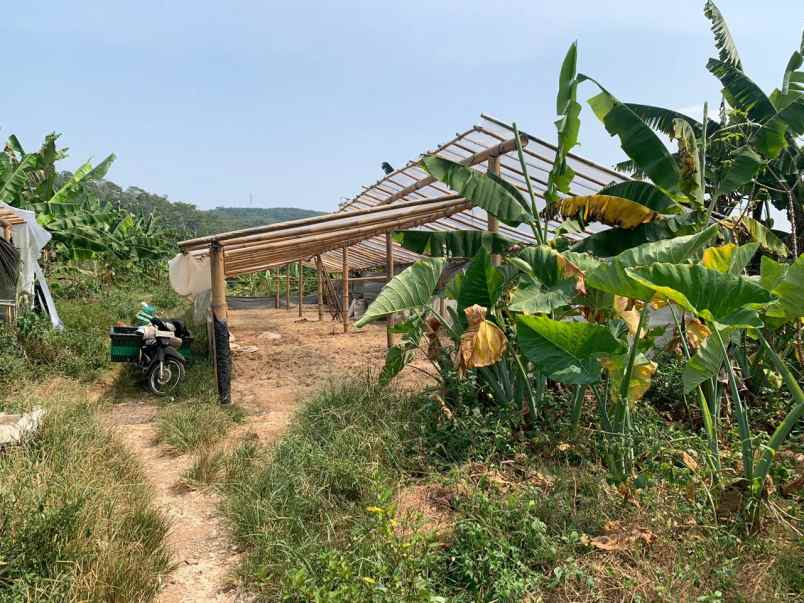 tanah pabelan kabupaten semarang