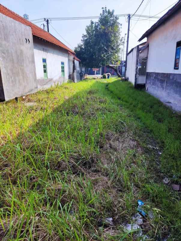 tanah pekarangan siap bangun