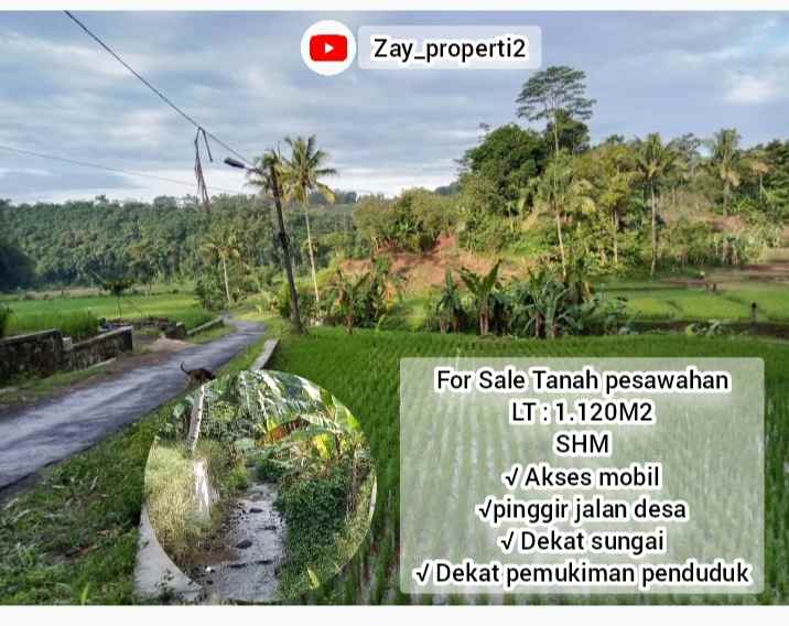 tanah produktif dekat sungai view bagus subang