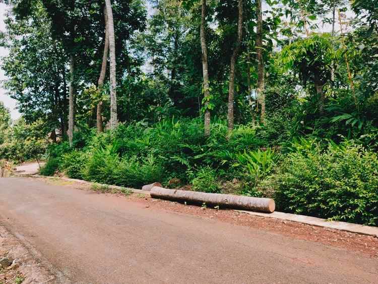 tanah selatan pasar mojogedang