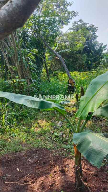 tanah siap bangun strategis dekat pasar parung bogor