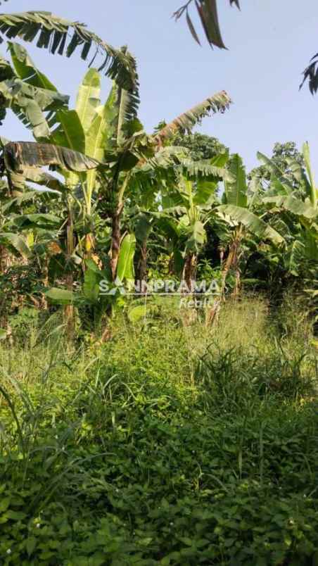 tanah siap bangun strategis dekat pasar parung bogor