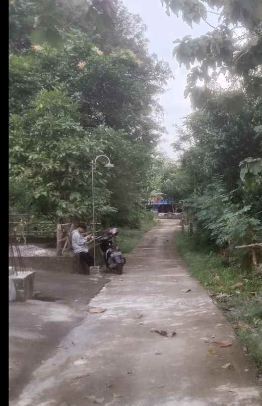 tanah sireng sukoharjo