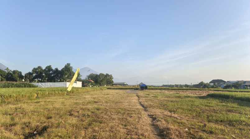 tanah subsidi shm pungging mojokerto