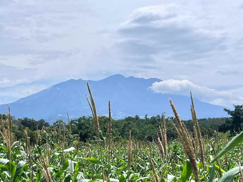 tanah view gunung lawu 8000m kerjo karanganyar utara