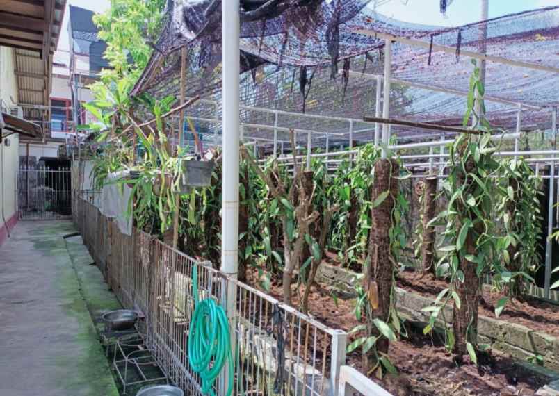 tanah zona kawasan industri di gerokgak buleleng bali