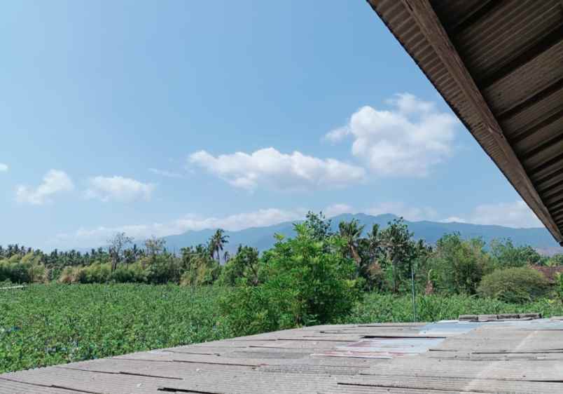 tanah zona kawasan industri di gerokgak buleleng bali