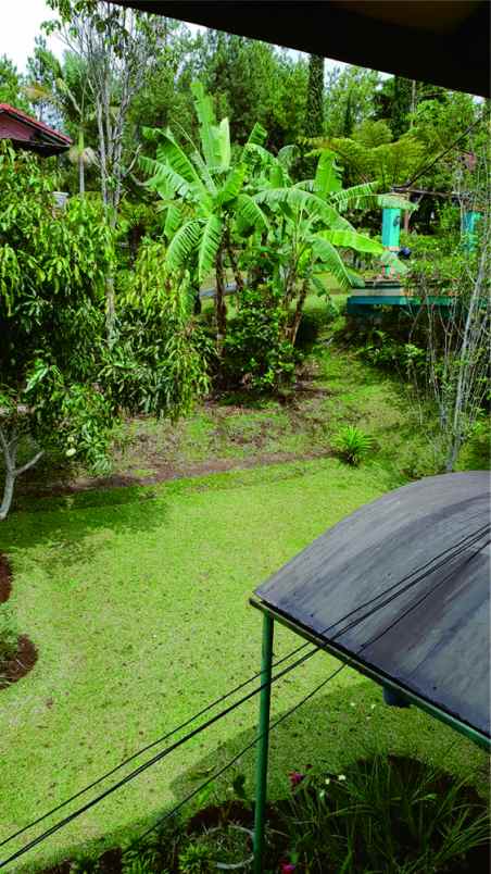 villa villa istana bunga