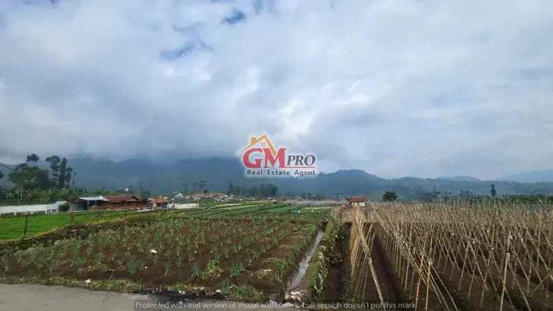 749 tanah matang dengan udara sejuk di ciwidey bandung