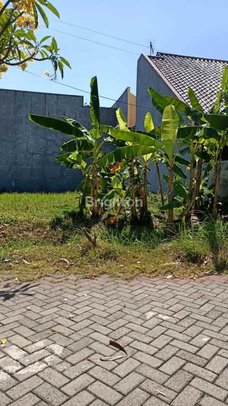 buyer only turun harga kavling araya 2 murah