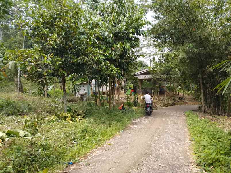 dijual cepat tanah murah