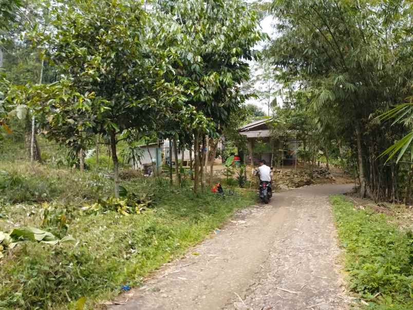 dijual cepat tanah murah