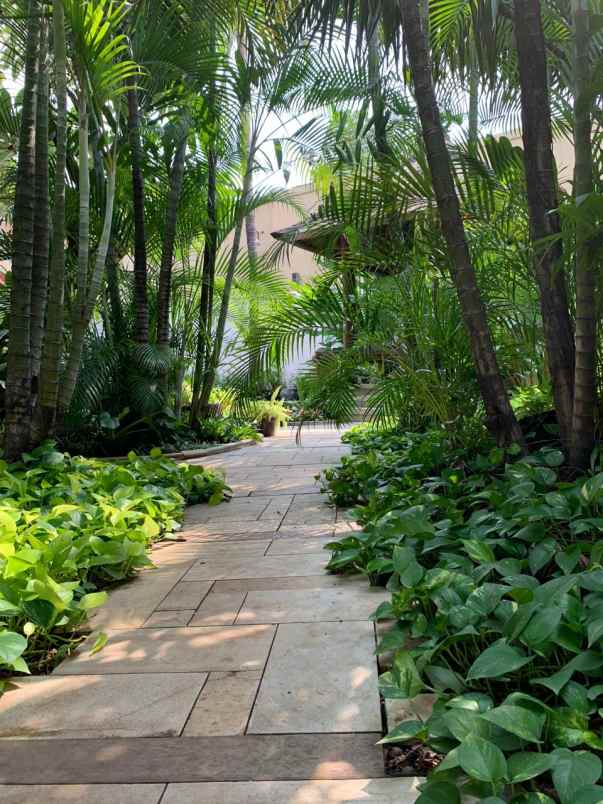 dijual rumah bintaro sektor 8