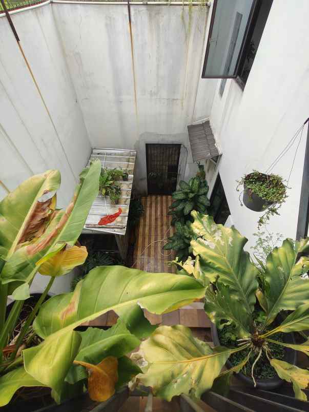 dijual rumah cilangkap cipayung jaktim