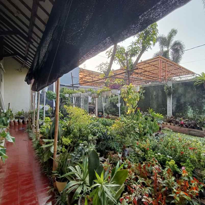 dijual rumah cimanggis