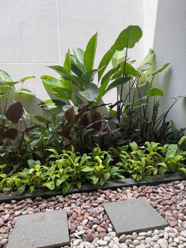 dijual rumah jalan the greenlake citraland