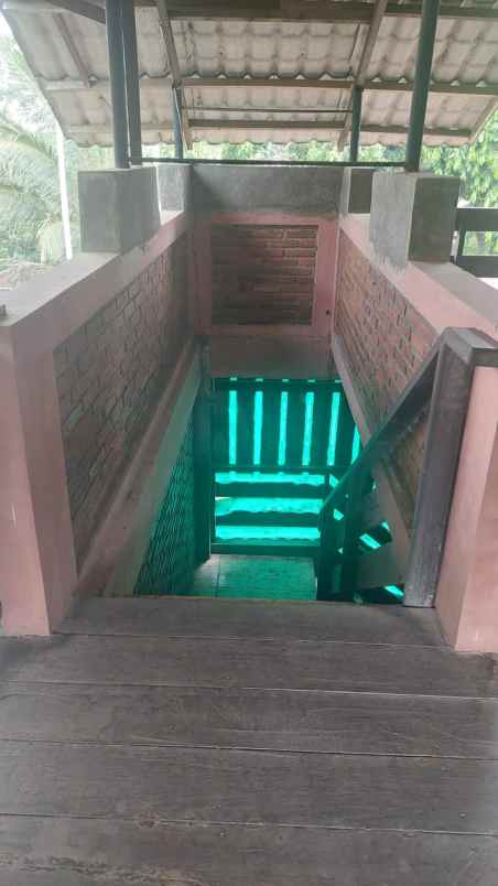 dijual rumah jl raya serang pandeglang