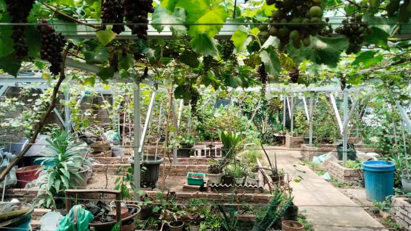 dijual rumah mewah di cimbeluit kota bandung