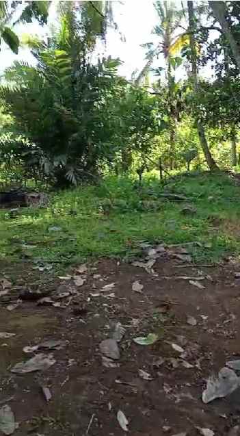 dijual tanah banjar dinas munduk desa