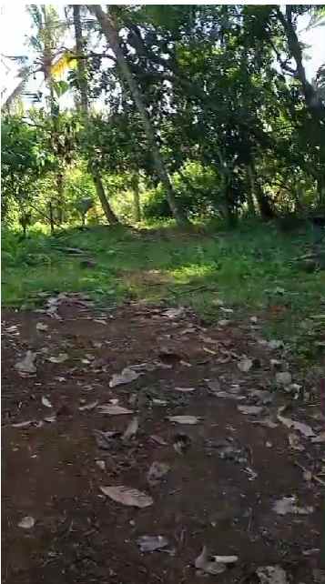 dijual tanah banjar dinas munduk desa
