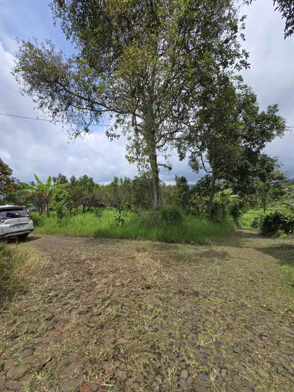 dijual tanah binangun