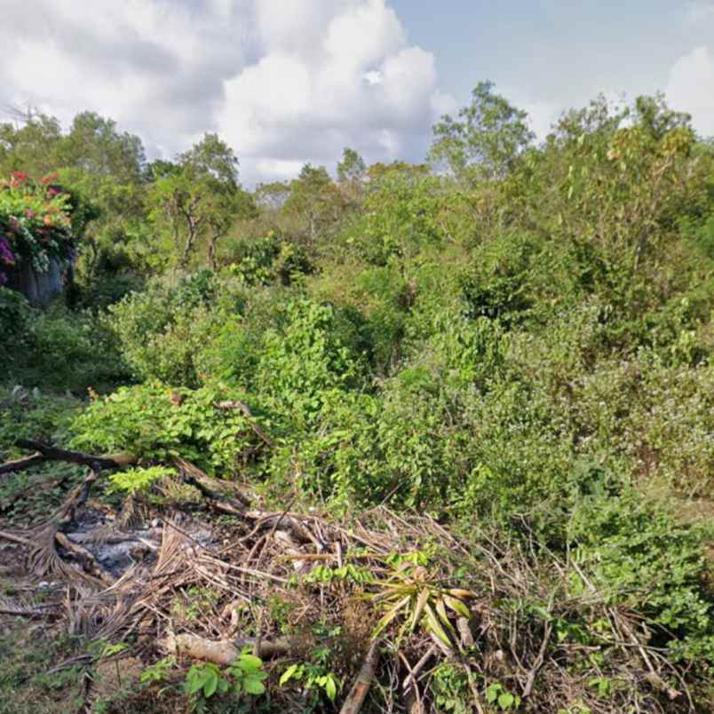 dijual tanah blimbing sari