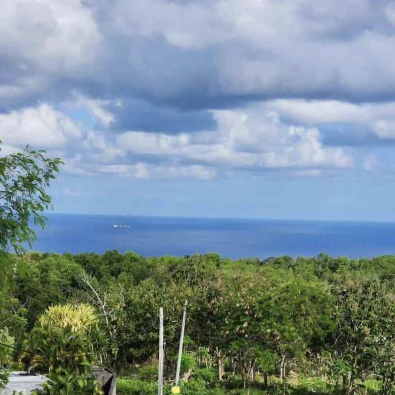 dijual tanah blimbing sari