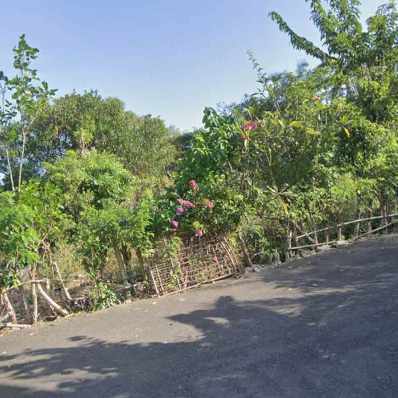 dijual tanah blimbing sari