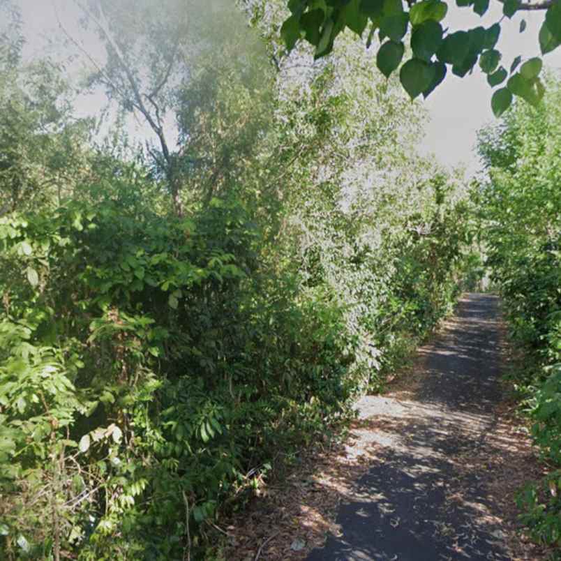 dijual tanah blimbing sari