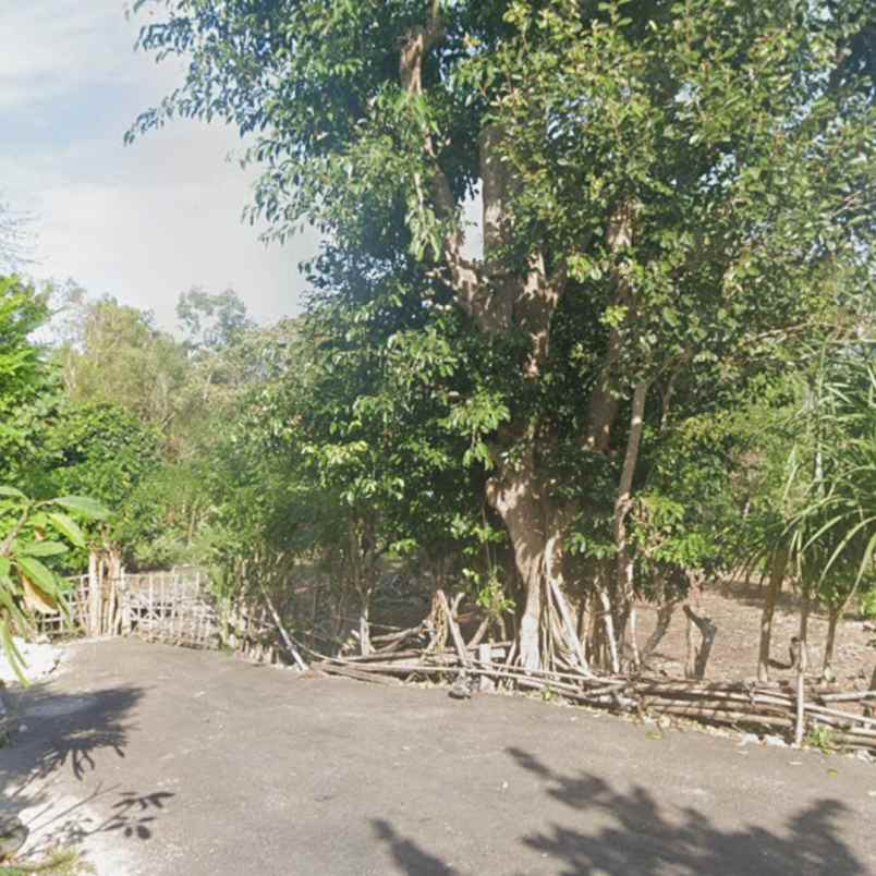 dijual tanah blimbing sari