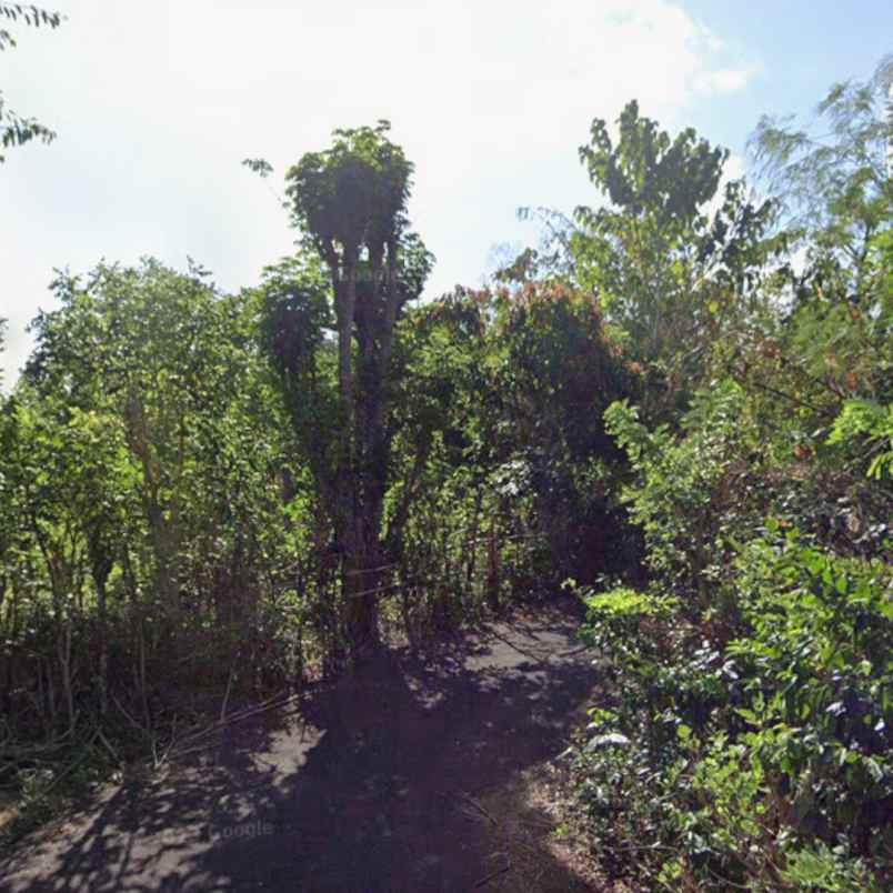 dijual tanah blimbing sari